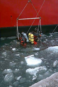 The Polar Sea's divers being lowered into the icy waters of the Chukchi Sea in order to assist in the ROV operations.