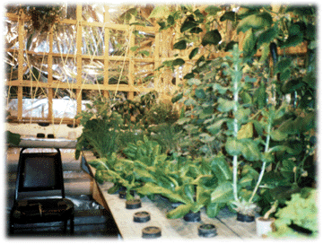 Greenhouse at Amundsen-Scott Station.
